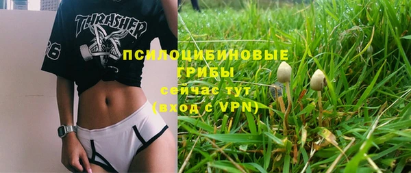 Альфа ПВП Арсеньев