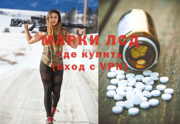 гашик Аркадак