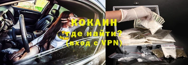 гашик Аркадак