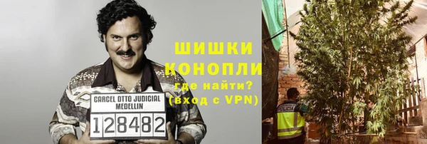 гашик Аркадак