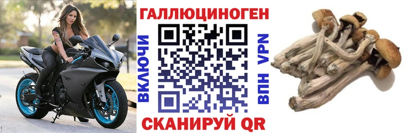 Псилоцибиновые грибы Psilocybine cubensis  это телеграм  Слободской  hydra маркетплейс 